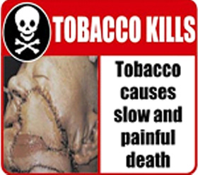 India 2006 Health Effects Death - slow and painful death, skull symbol